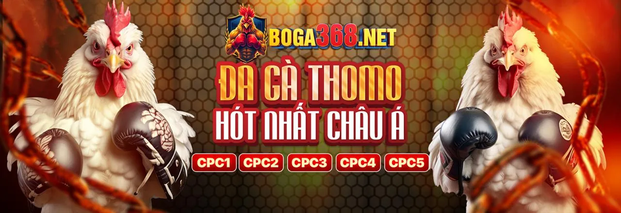 Sân đấu gà trực tuyến 68bet sôi động