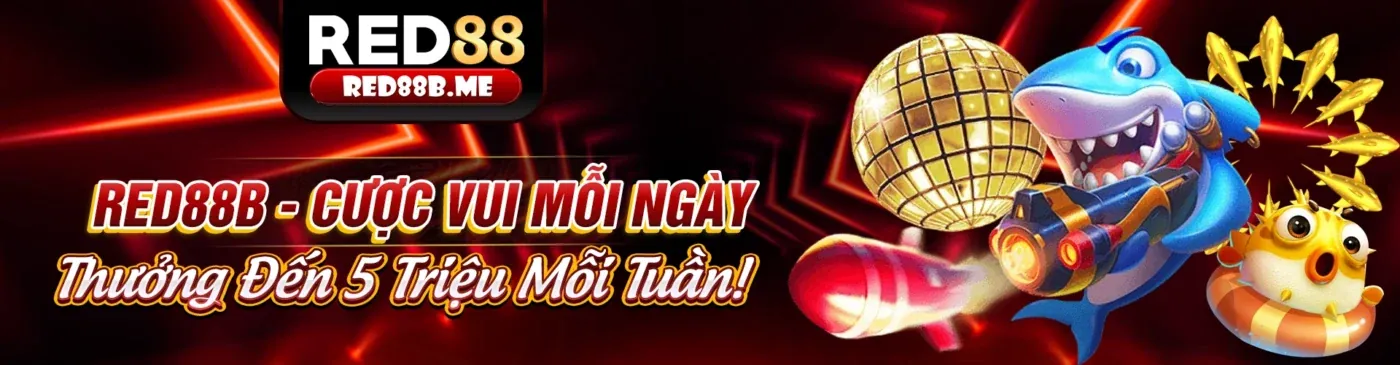 Ưu đãi hoàn trả hàng ngày cho các trò chơi casino