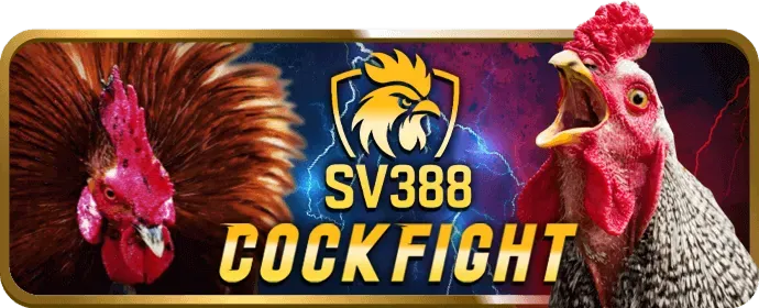 Đá Gà Online 68bet